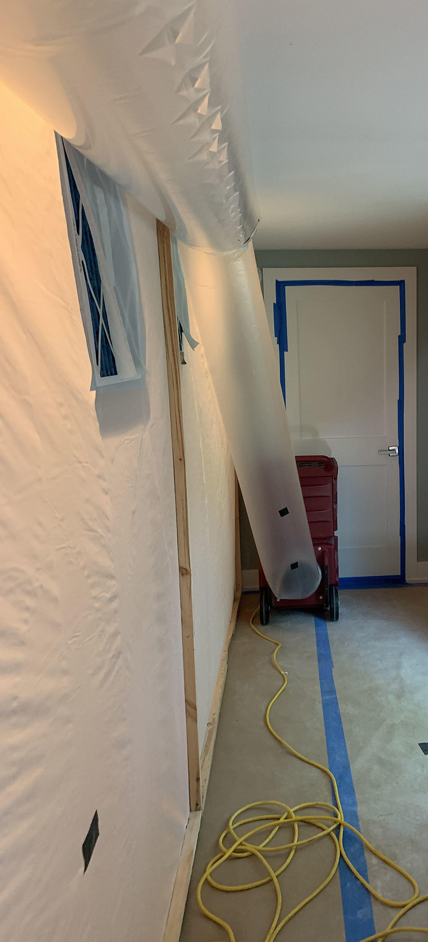 mold remediation