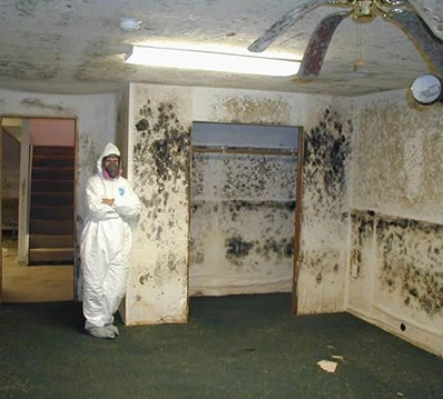 Mold Remediation Thumbnail