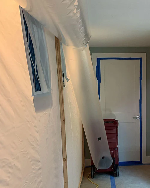 Mold Remediation Landing